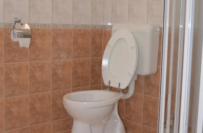 בית הארחה Ladver